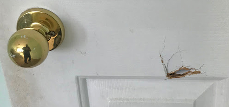 interior door hole repair Miramar