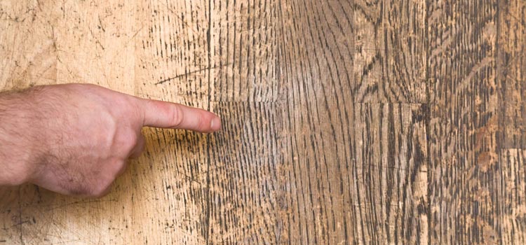 Wood Door Scratch Repair in Miramar